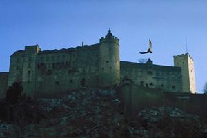 管理会社は早めに変更しましょう