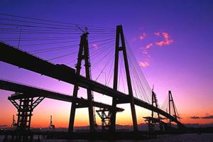 南大阪を中心に地域に根ざした不動産会社