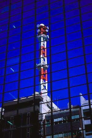 アスレチック工事を行う前の準備