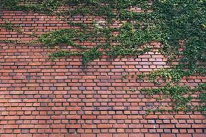 CASBEEシステムの入力業務を支援