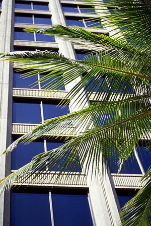 小平市でシンプルだけど機能的な注文住宅