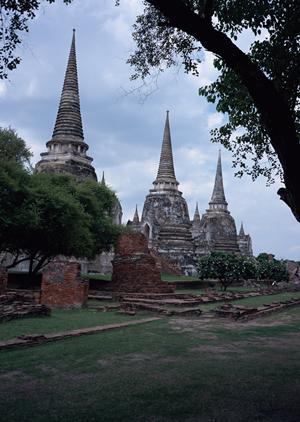 CASBEE評価を取得するための完全ガイド：環境性能向上のためのステップと成功事例