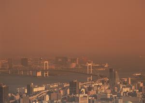 東京の店舗工事専門をしている藤倉工務店